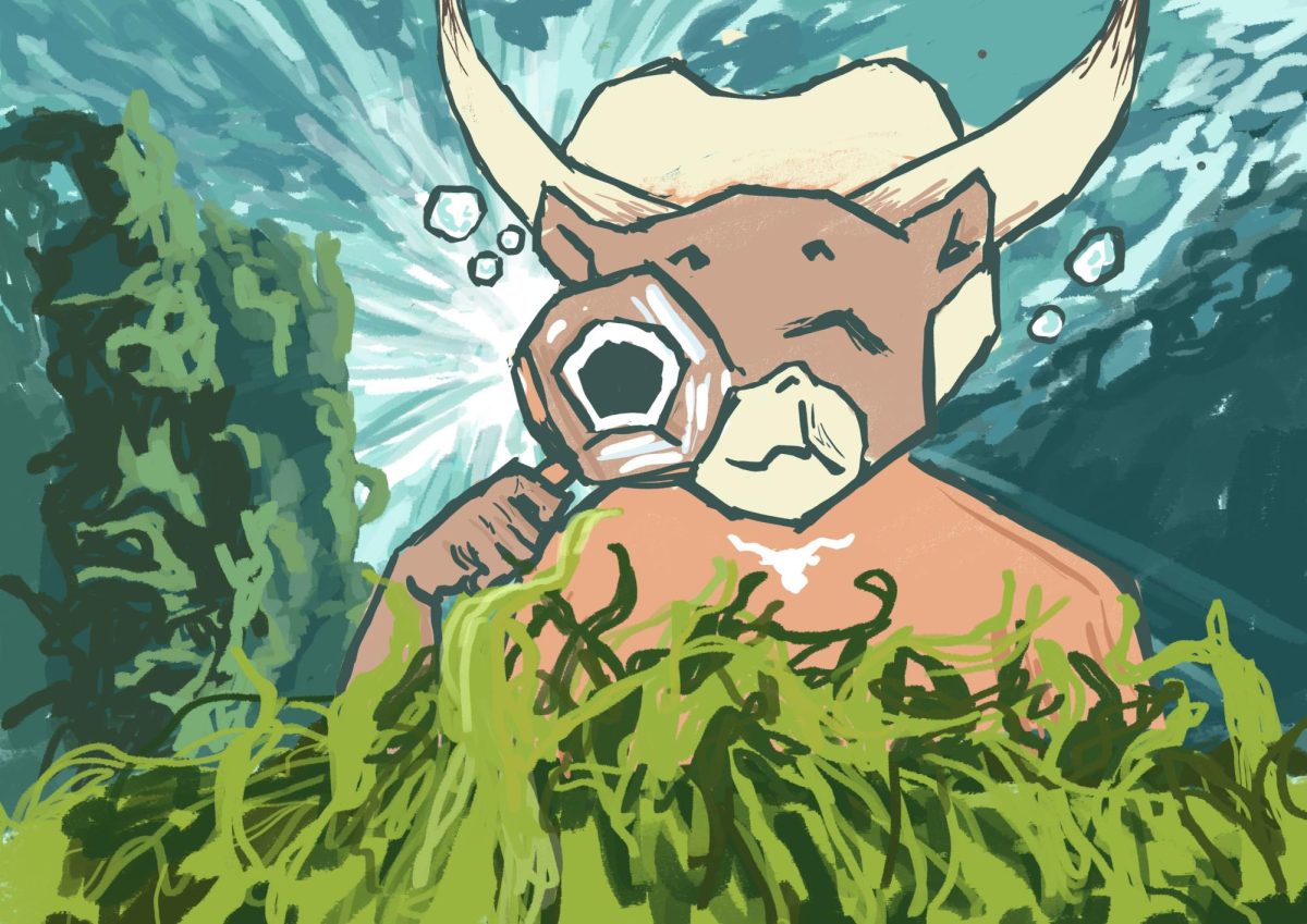 UT marine scientists find rising sea levels linked to loss of valuable seagrass habitats in Texas